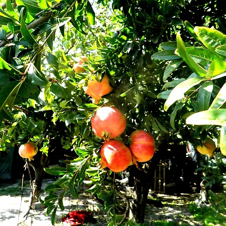 Bed & Breakfast Rocla 4*