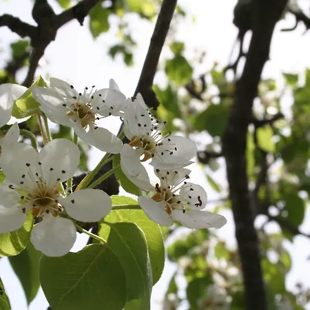 Rocla Bed & Breakfast